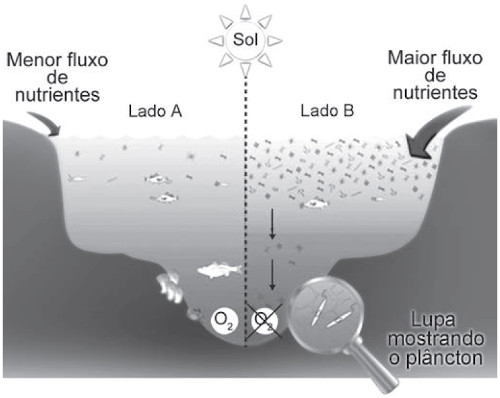 Esquema ilustrativo de menor e maior fluxo de nutrientes no ambiente marinho