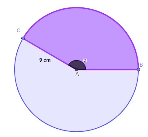 Setor circular com ângulo de 150° e raio de 9 cm.