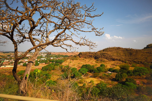 Vista da vegetação do Cerrado, a “savana brasileira”.