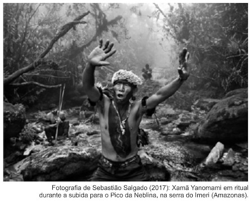 Xamã Yanomami durante a subida para o pico da Neblina, fotografado por Sebastião Salgado, em questão da FGV sobre garimpo.