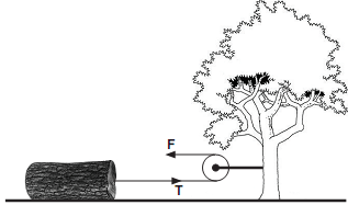 Ilustração da montagem 1 de uma roldana em uma questão da PUC sobre roldanas ou polias.
