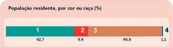 Gráfico do IBGE resposta da população sobre a própria cor.