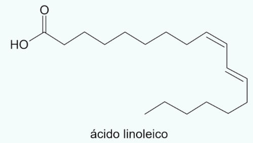 Estrutura do ácido linoleico em exercício da Facisb sobre cadeias carbônicas abertas.