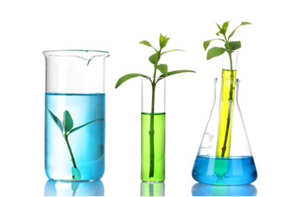Os participantes da terceira modalidade devem propor experimentos sustentáveis, baseados na química verde
