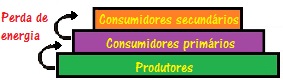 Pirâmide de energia Os produtores representam o nível energético mais elevado