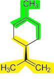 Estrutura de limoneno formada por duas unidades isoprênicas mostradas em cores verde e amarelo