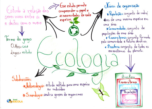 Revisão ENEM IV - Ecologia