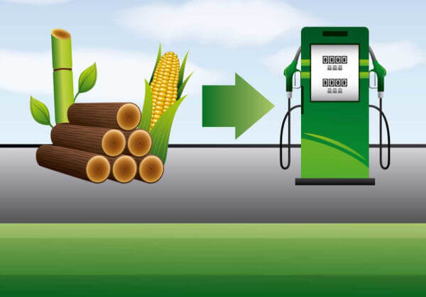 Produção de biocombustíveis