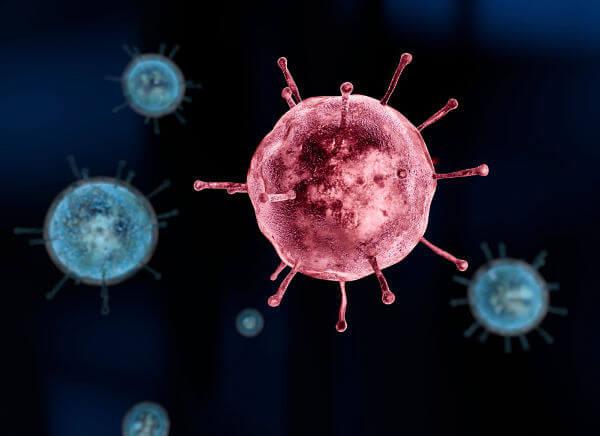 Os vírus podem causar doenças, as quais são chamadas de viroses.