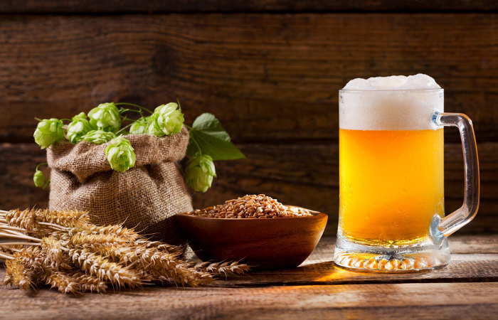 Malte, lúpulo e uma caneca de cerveja para representar os ingredientes da bebida.