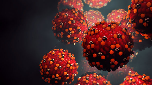O sarampo é uma doença causada por um vírus de RNA.