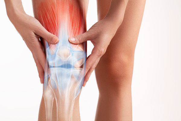  A articulação do joelho é complexa e permite que sejamos capazes de dobrar a perna. Exercícios sem acompanhamento podem causar danos a essa estrutura.