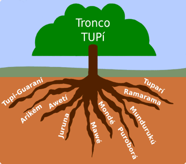 Tronco linguístico do tui-guarani, língua a partir da qual surgiram várias palavras indígenas usadas no português brasileiro.