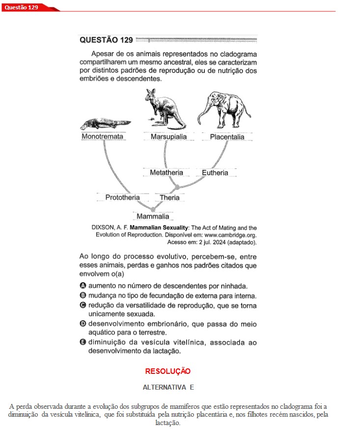 Questão 129 prova cinza Enem 2024