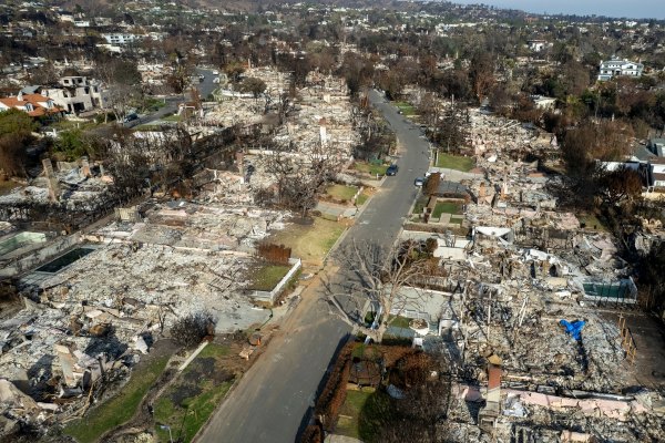 Rastro de destruição de incêndios florestais, que produzem refugiados climáticos (migrantes do clima).